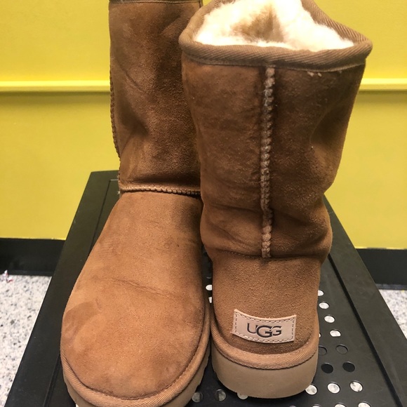 Chestnut Colored Uggs - Picture 4 of 6